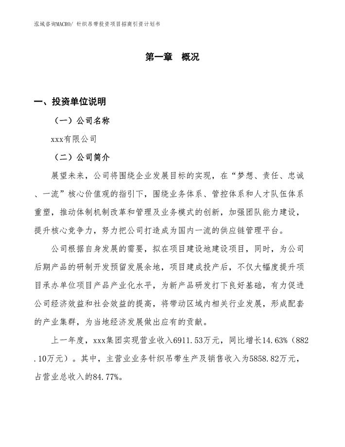 针织吊带投资项目招商引资计划书