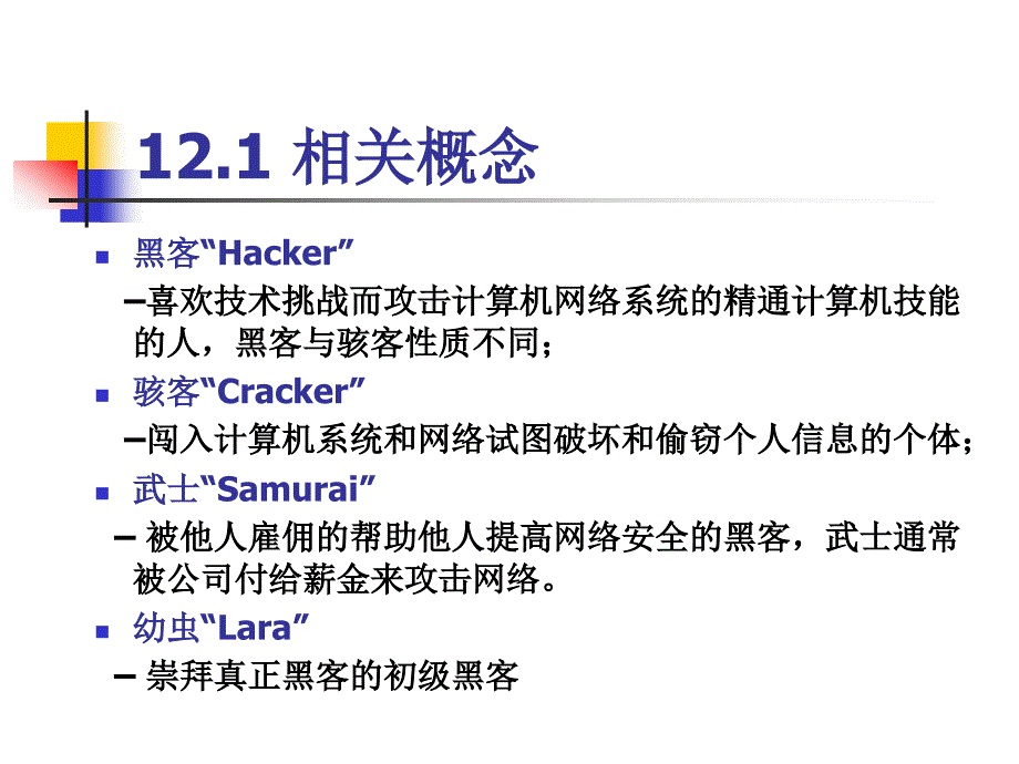 12典型攻击与恶意代码.ppt_第2页