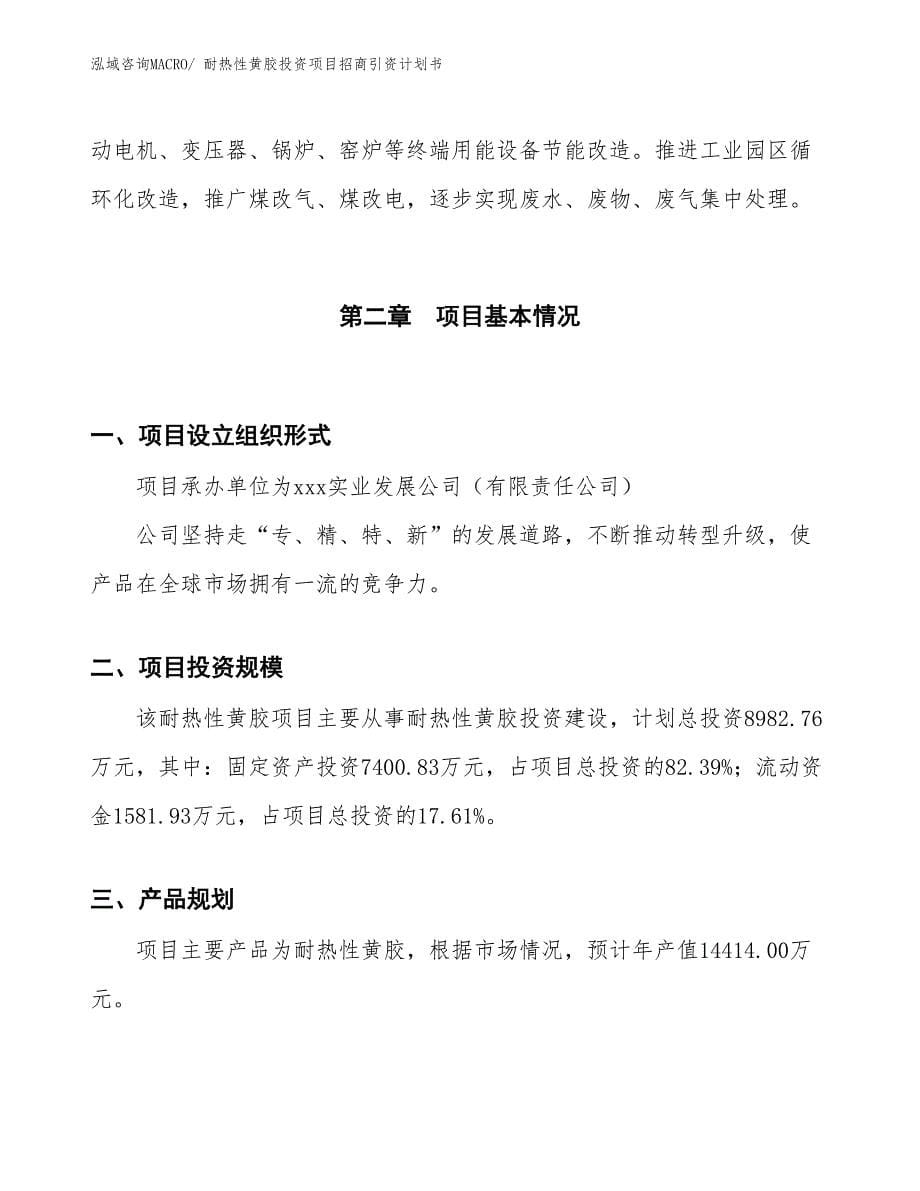 耐热性黄胶投资项目招商引资计划书_第5页