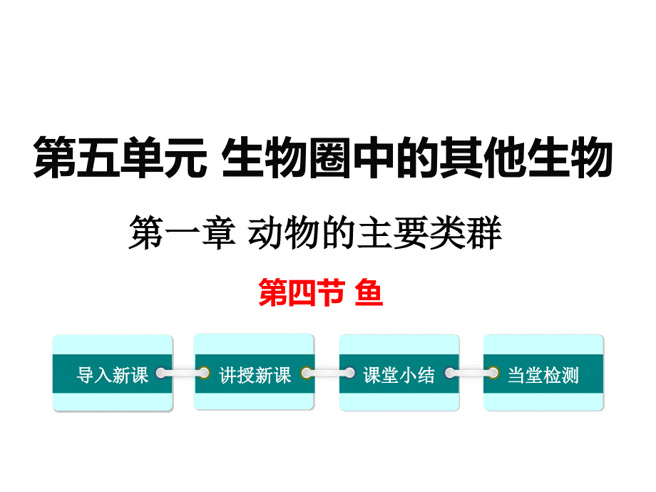 人教版生物八年级上册教学课件-第五单元4.第四节--鱼1(共21张ppt)_第1页