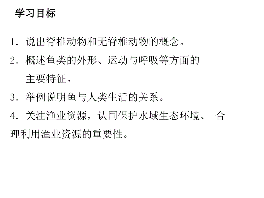 人教版生物八年级上册教学课件-第五单元4.第四节--鱼1(共21张ppt)_第3页