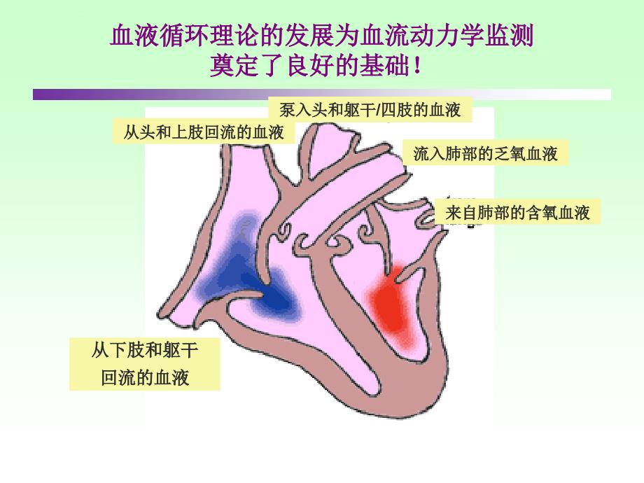 氧代谢是血流动力学管理的目标课件_第3页