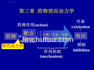药物效应动力学_3 (2)课件