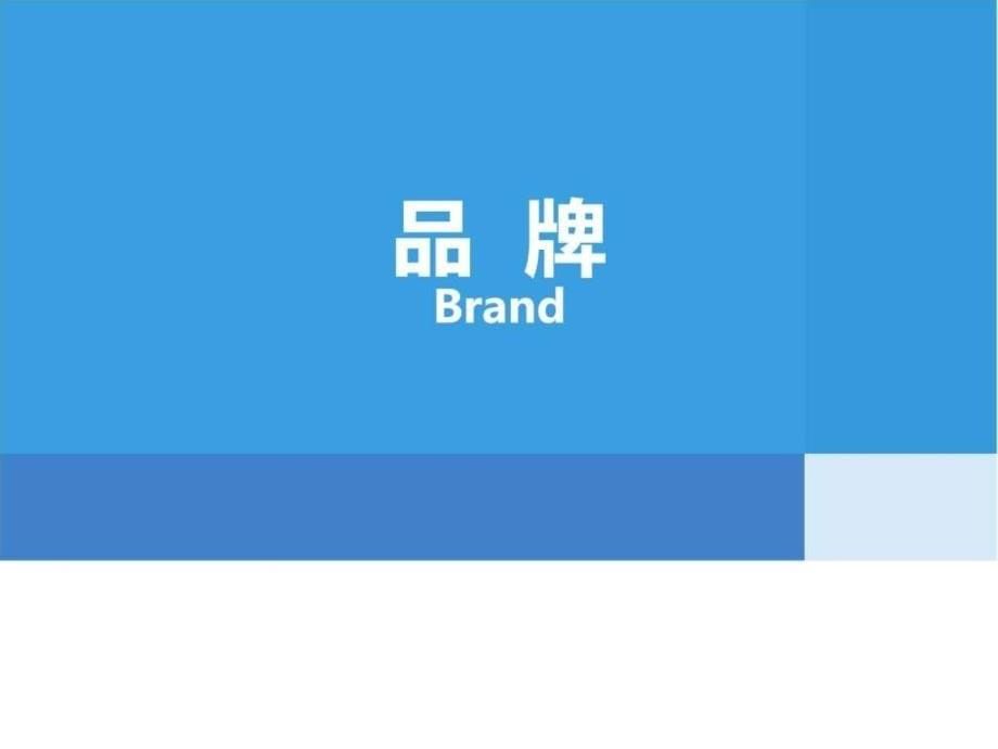 2012年度户外产业调研报告_第5页