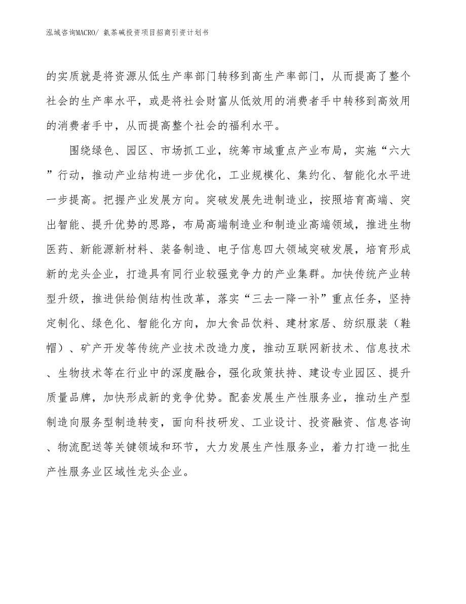 氨茶碱投资项目招商引资计划书_第5页