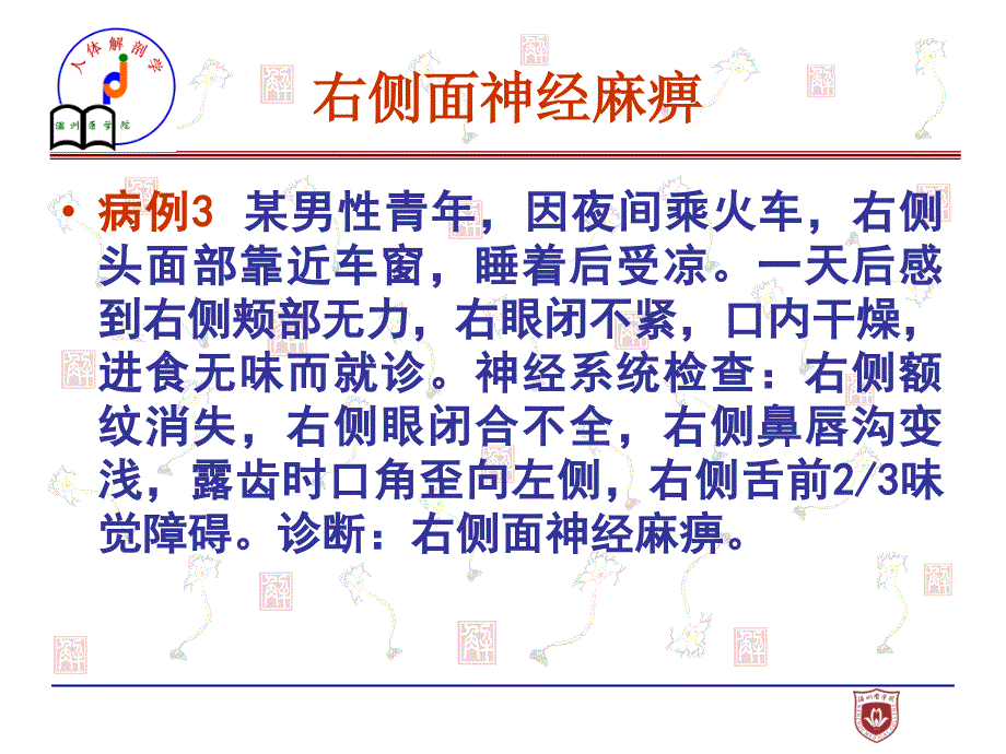 神经系统疾病解剖课件_第2页