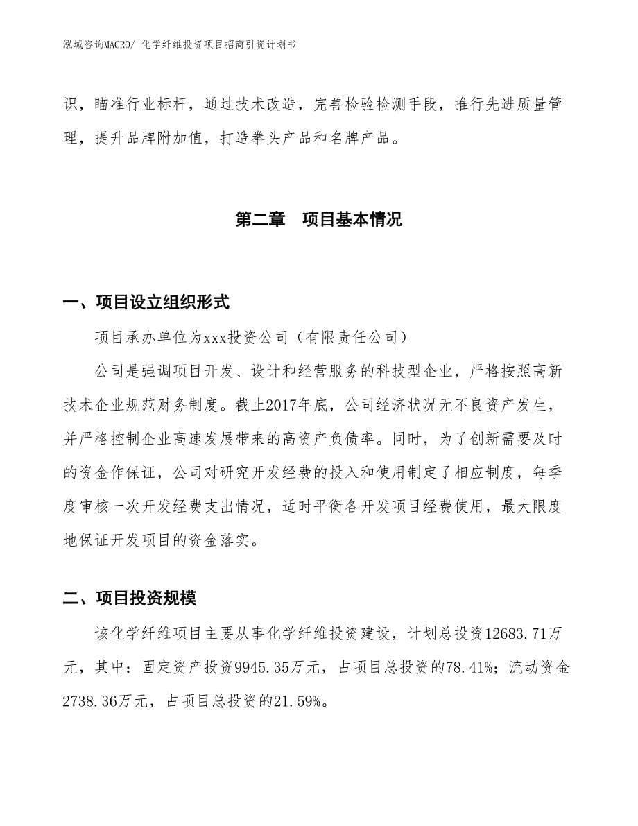 化学纤维投资项目招商引资计划书_第5页