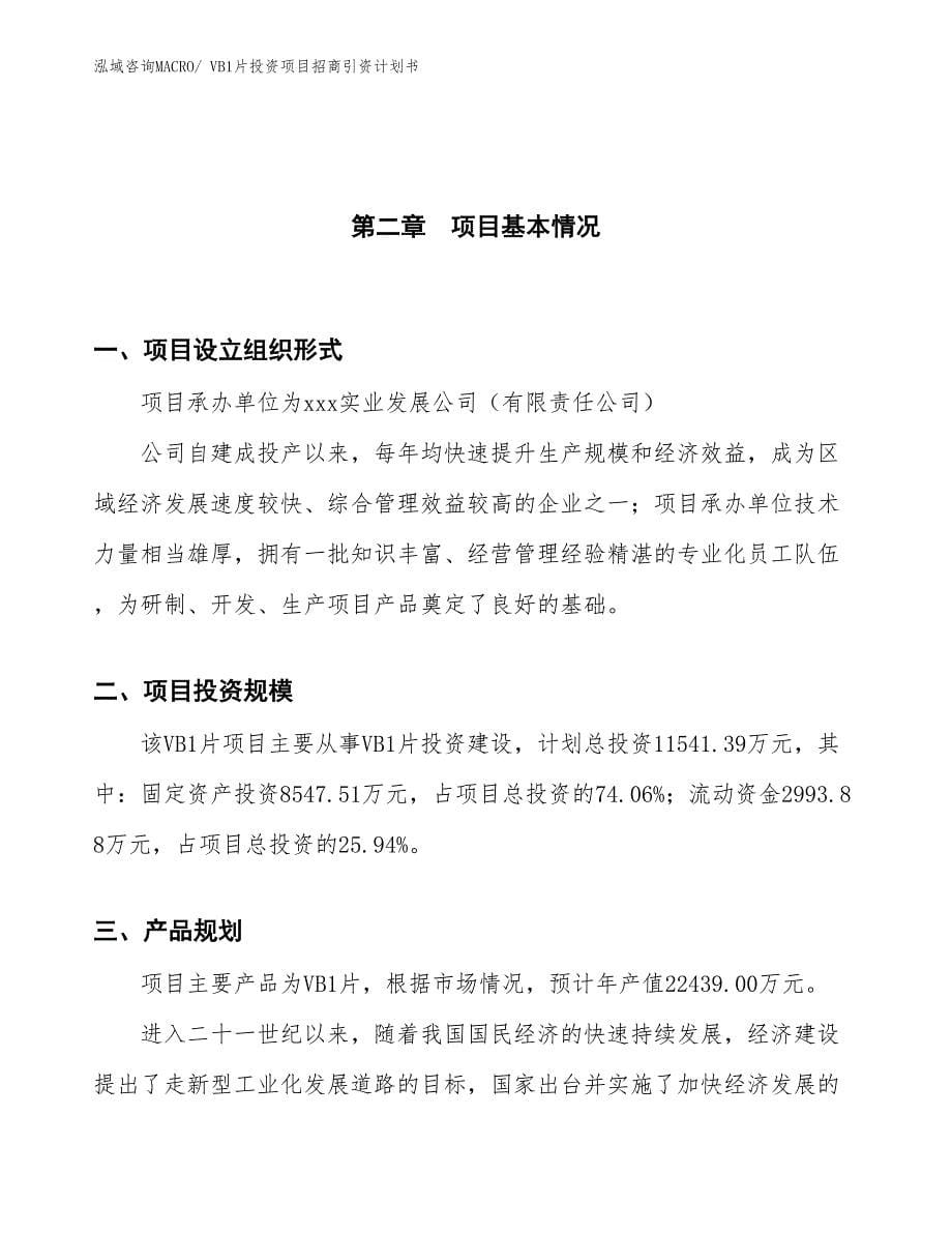 VB1片投资项目招商引资计划书_第5页