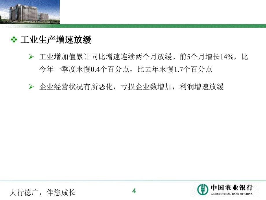 2011年农业银行宏观经济半年报精选_第5页