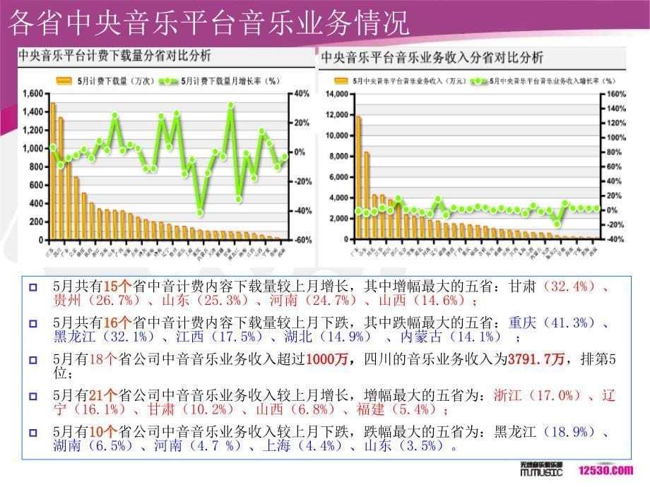 201005中国移动无线音乐业务运营分析报告精选_第5页
