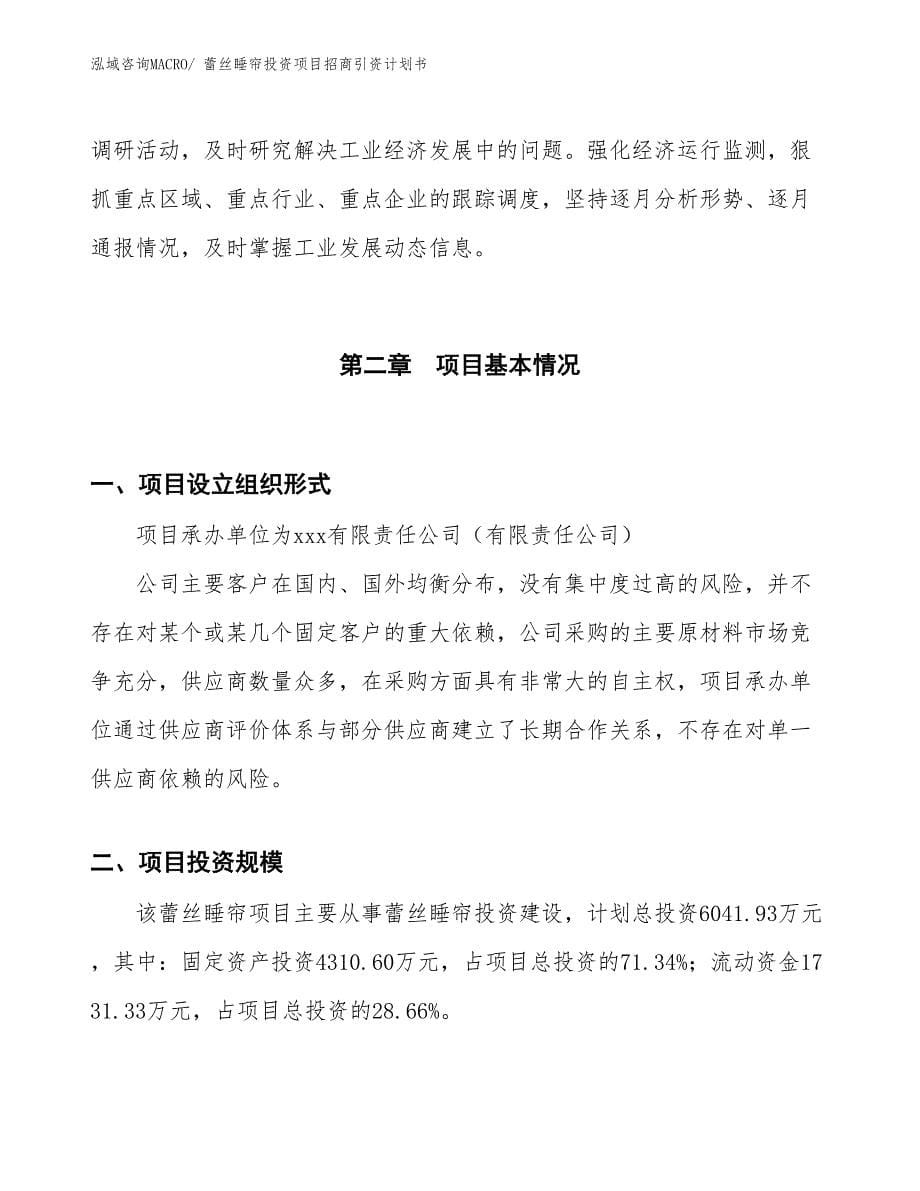 蕾丝睡帘投资项目招商引资计划书_第5页