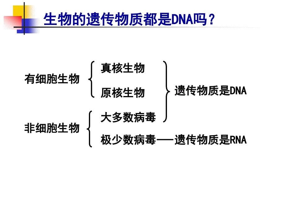 2.3+遗传信息的携带者-核酸+课件+邓飞_第5页