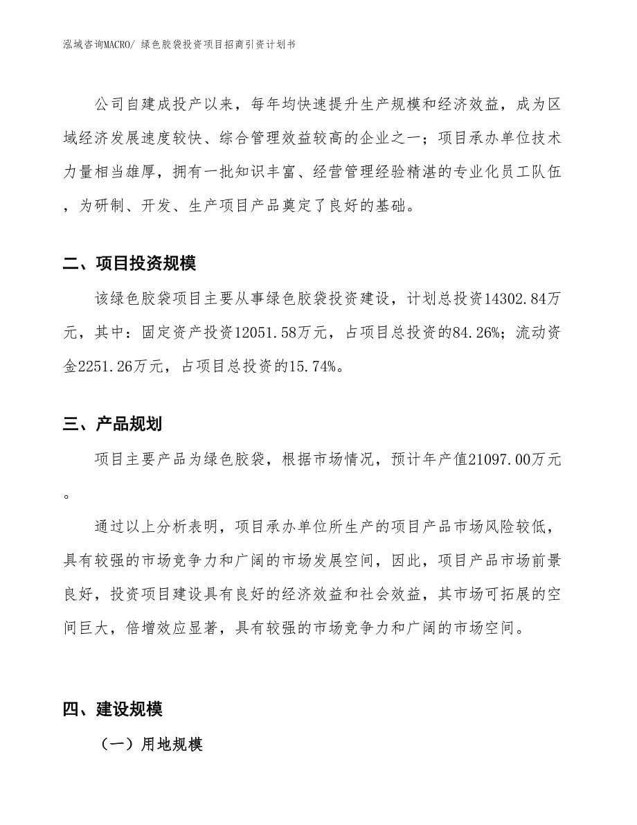 绿色胶袋投资项目招商引资计划书_第5页