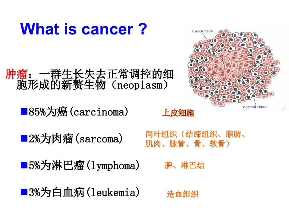 肿瘤细胞遗传学课件_第2页
