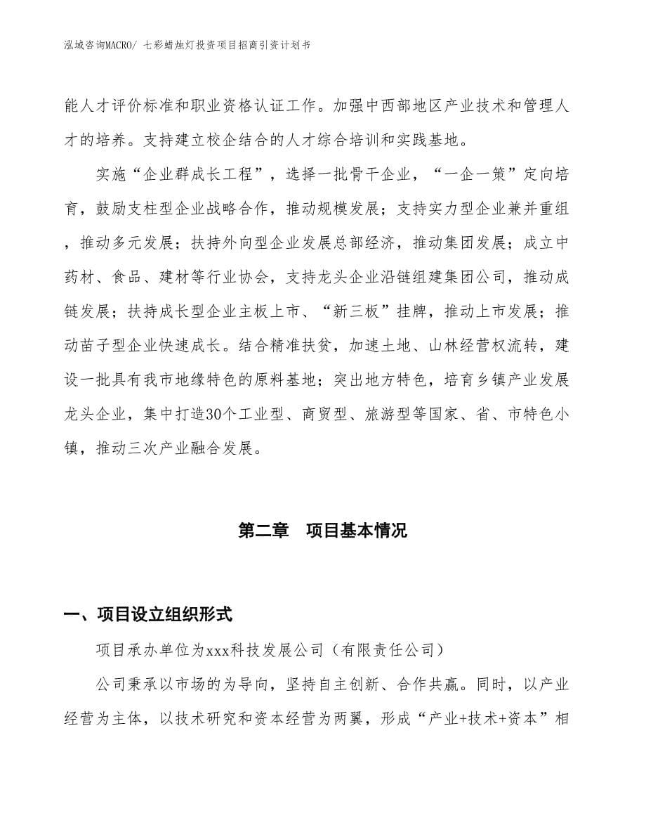 七彩蜡烛灯投资项目招商引资计划书_第5页