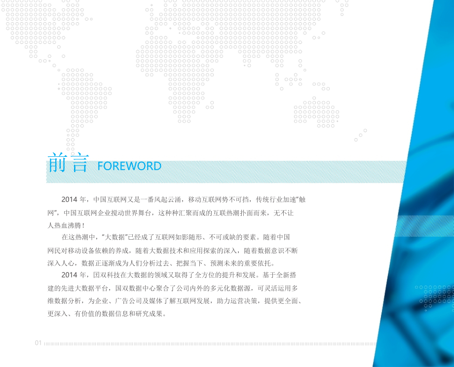 2014年中国互联网发展报告_第4页