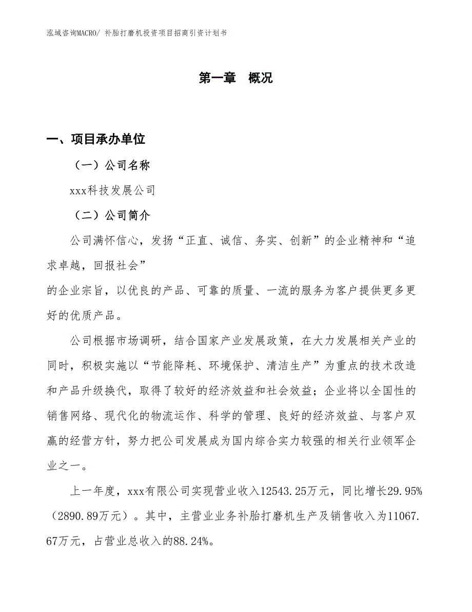 补胎打磨机投资项目招商引资计划书_第1页