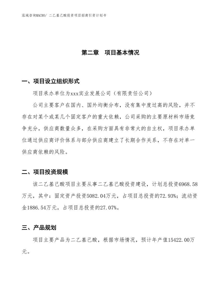 二乙基己酸投资项目招商引资计划书_第5页