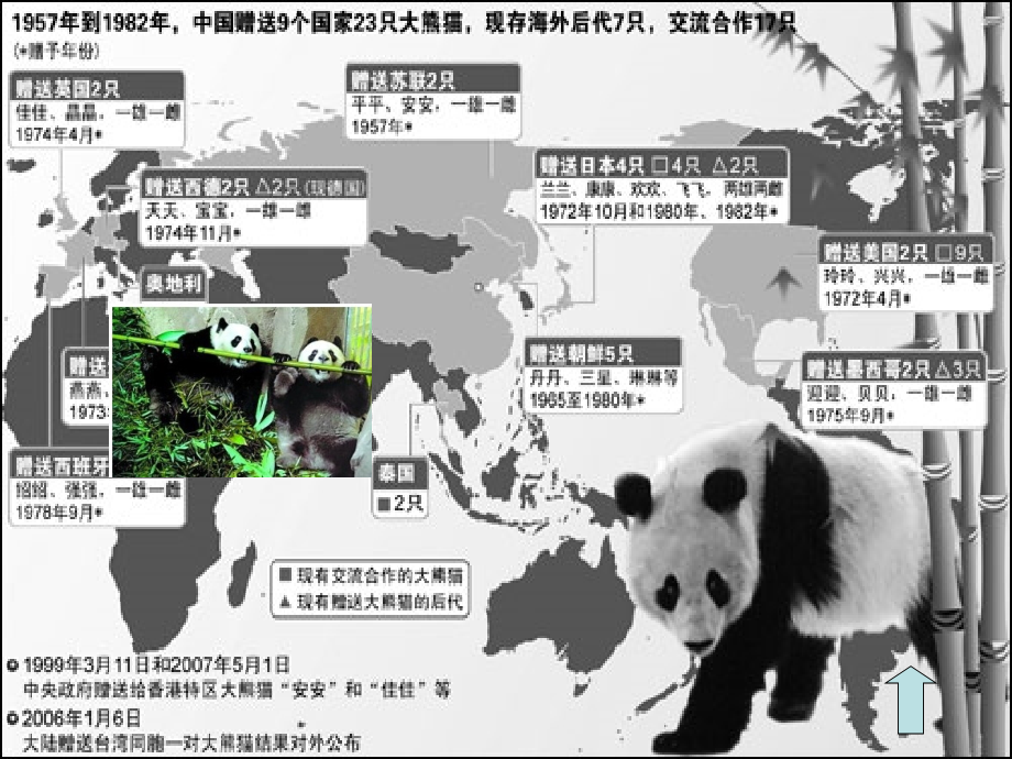 1大熊猫出国_课件_第3页
