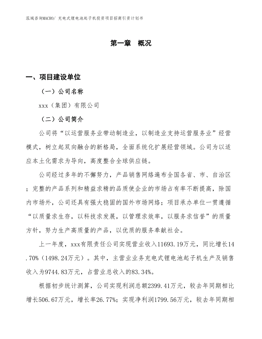 充电式锂电池起子机投资项目招商引资计划书_第1页