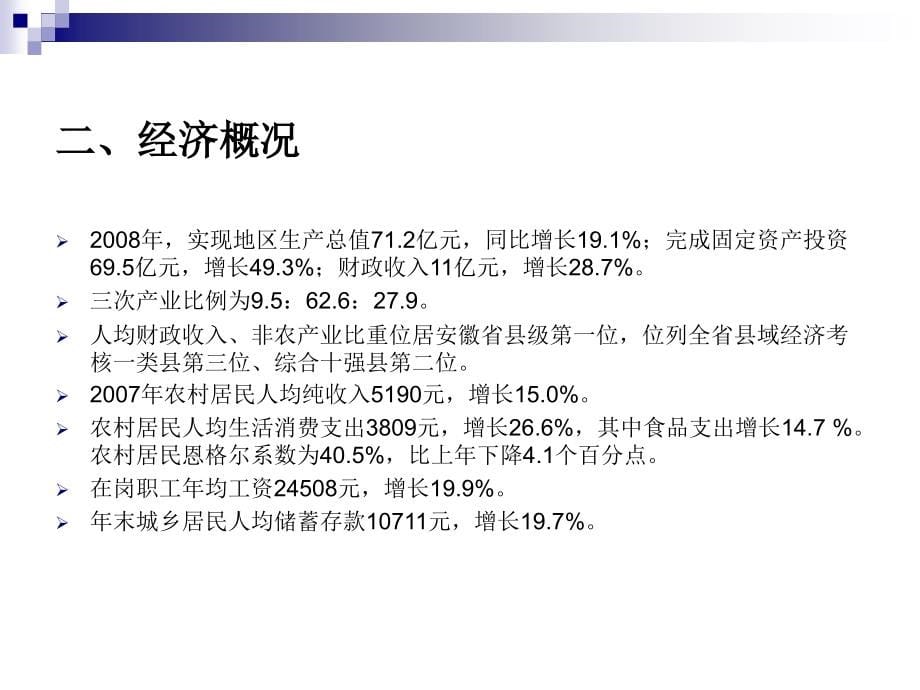 2008年年安徽繁昌项目地块市场调研报告_第5页