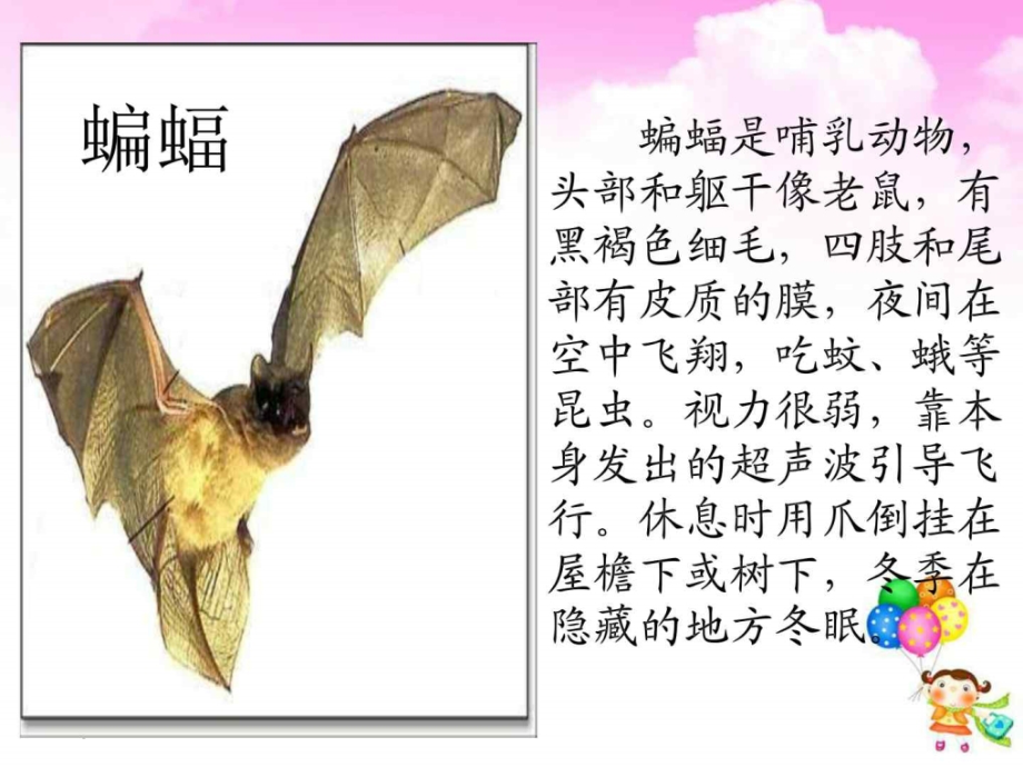 11.蝙蝠和雷达(完美版)_四年级语文_语文_小学教育_教育专区_第2页