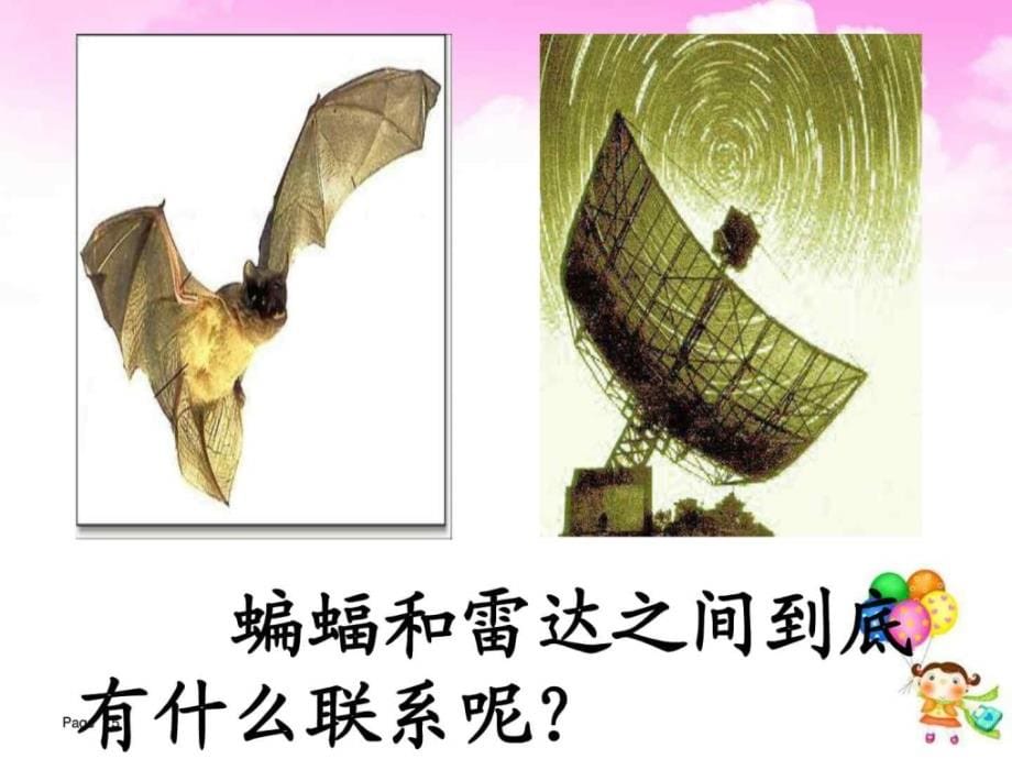 11.蝙蝠和雷达(完美版)_四年级语文_语文_小学教育_教育专区_第5页