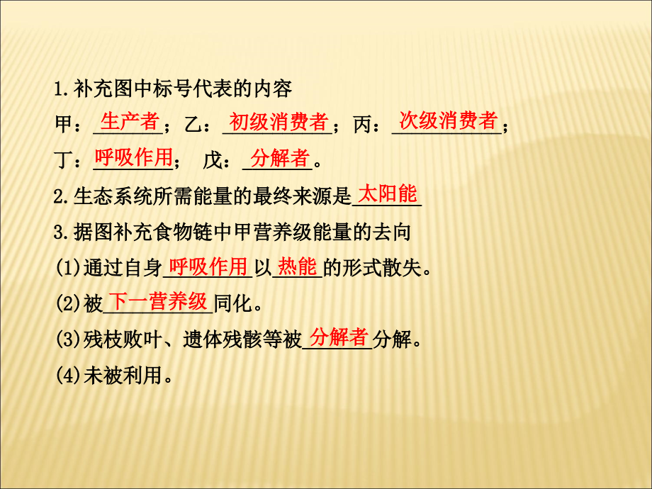 2013届高考一轮生物复习课件：第2、3节生态系统的能量流动和物质循环_第4页