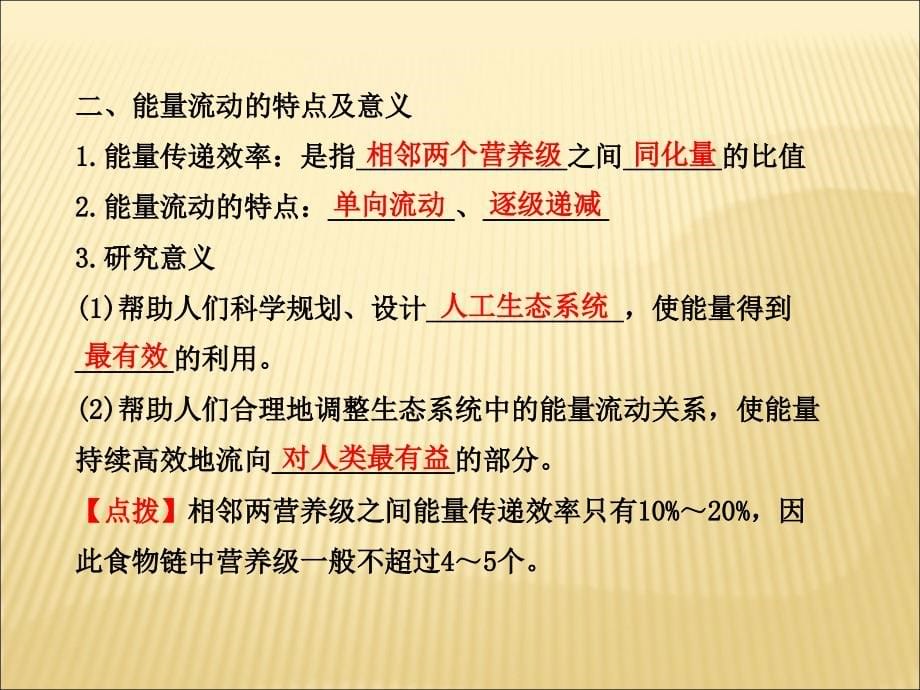 2013届高考一轮生物复习课件：第2、3节生态系统的能量流动和物质循环_第5页