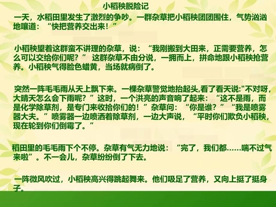 18《小稻秧脱险记》邱概要_第5页