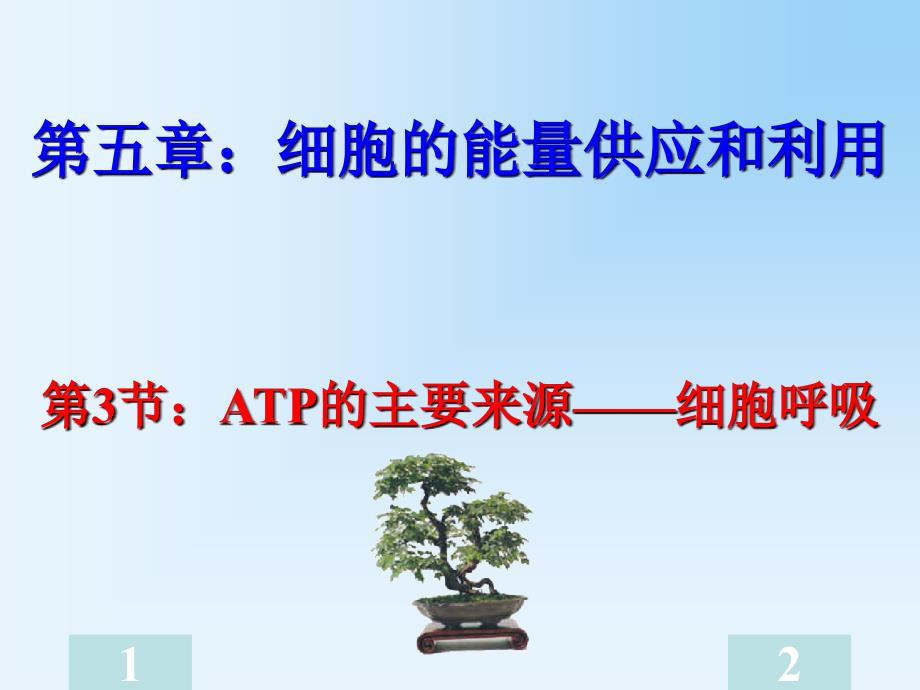 人教版高一必修一5.3atp的主要来源-细胞呼吸课件7_第1页