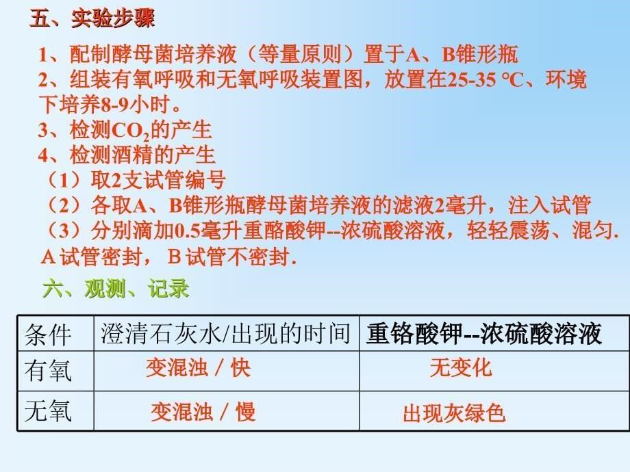 人教版高一必修一5.3atp的主要来源-细胞呼吸课件7_第5页