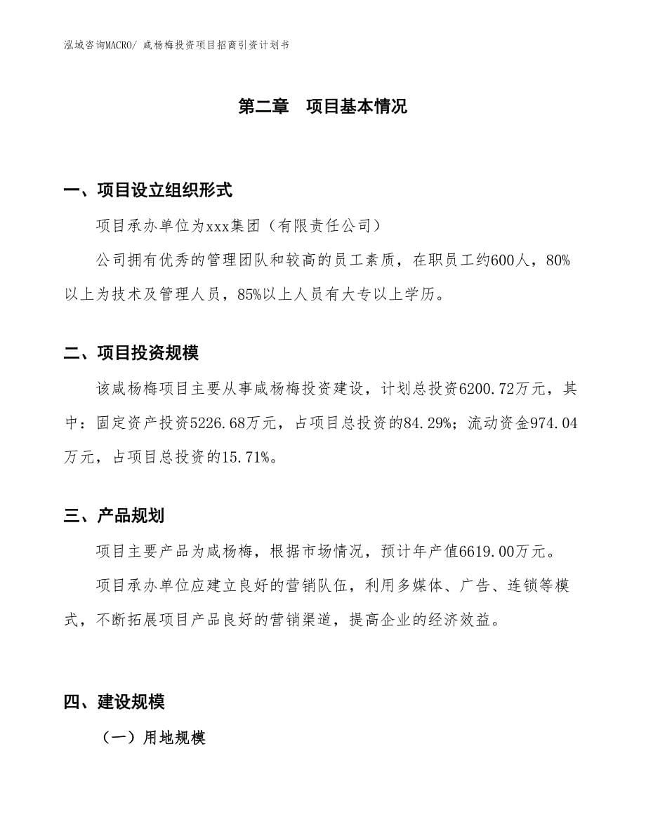 咸杨梅投资项目招商引资计划书_第5页