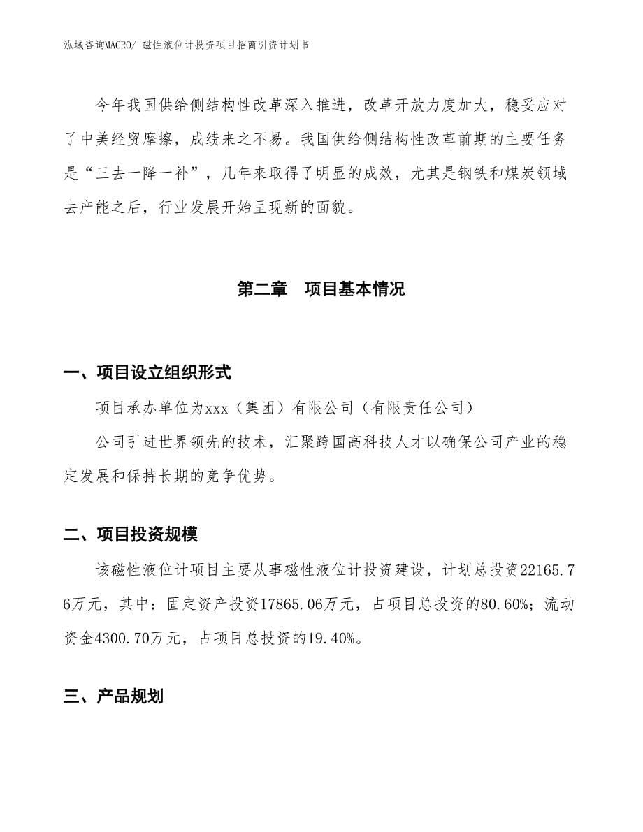 磁性液位计投资项目招商引资计划书_第5页