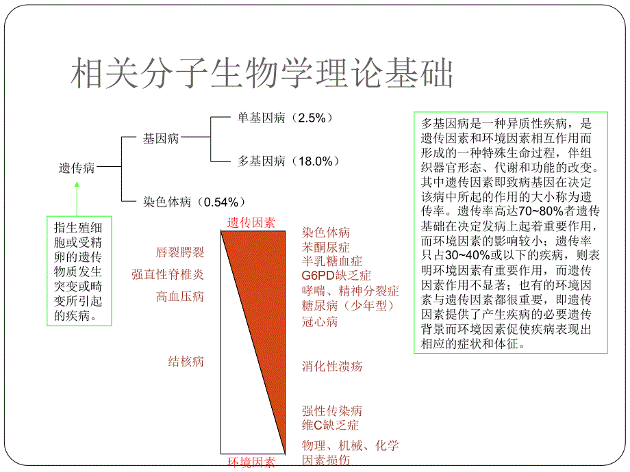 糖尿病的发病机制与药物治疗课件_第2页