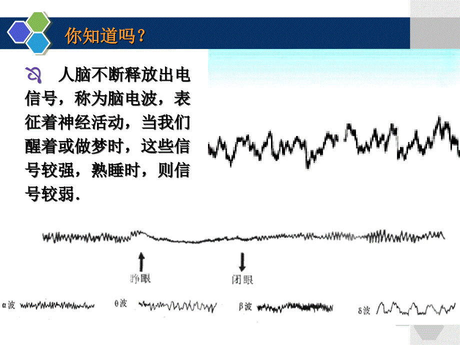 高中生物必修3-第二章-第二节-神经系统的结构与功能(第一课时)课件_第1页