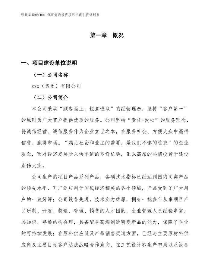 低压灯泡投资项目招商引资计划书