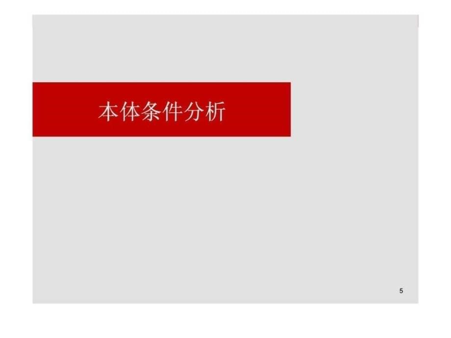 2012年9月广西武宣县老百货大楼地块商业项目市场调研及定位分析报告前期策划_第5页