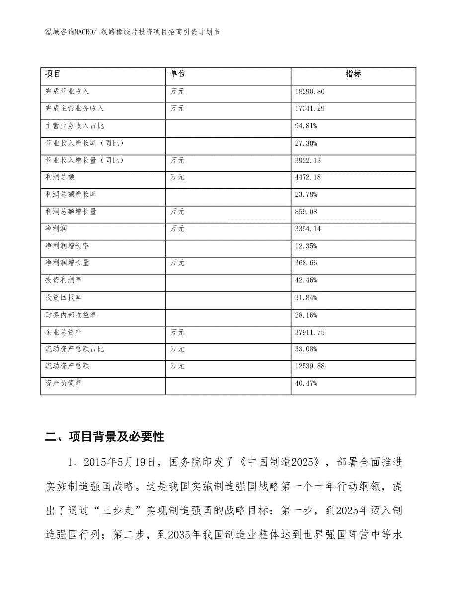 纹路橡胶片投资项目招商引资计划书_第2页