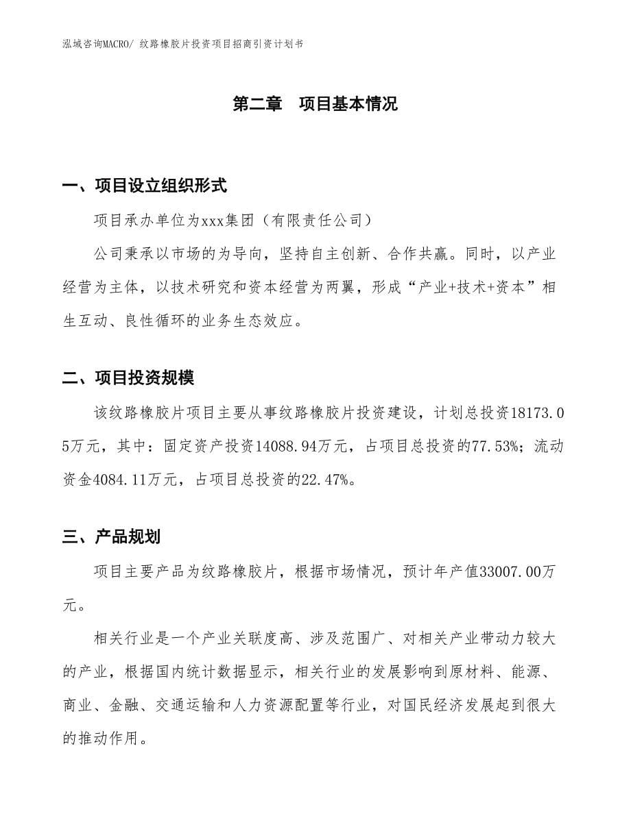 纹路橡胶片投资项目招商引资计划书_第5页