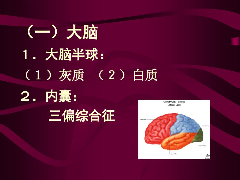 许10-脑及脑血管疾病概述第六次用课件_第4页