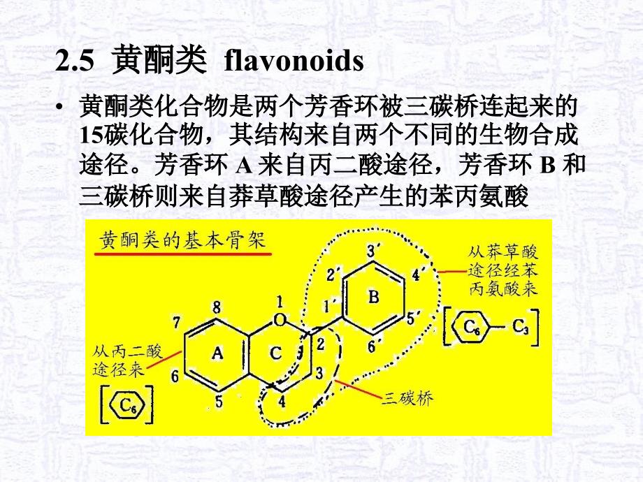 02植物次生代谢产物的主要类群c黄酮类鞣质2011_第4页