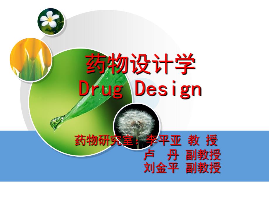 药物设计学-导论课件_第1页
