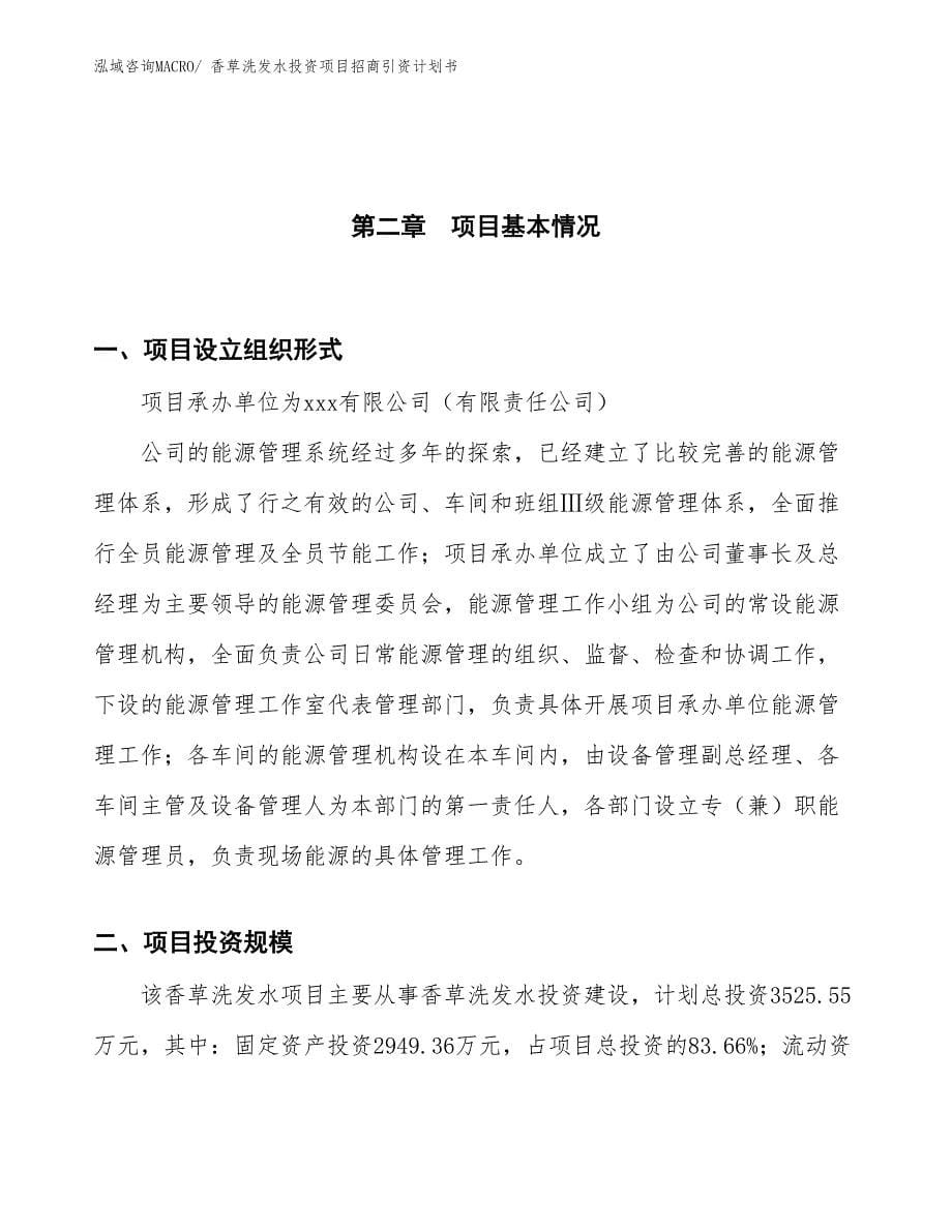 香草洗发水投资项目招商引资计划书_第5页