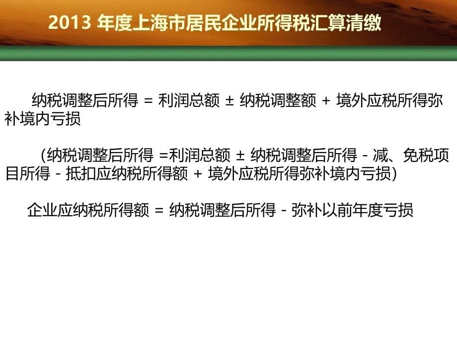 2013年度上海市居民企业所得税汇算清缴_第5页