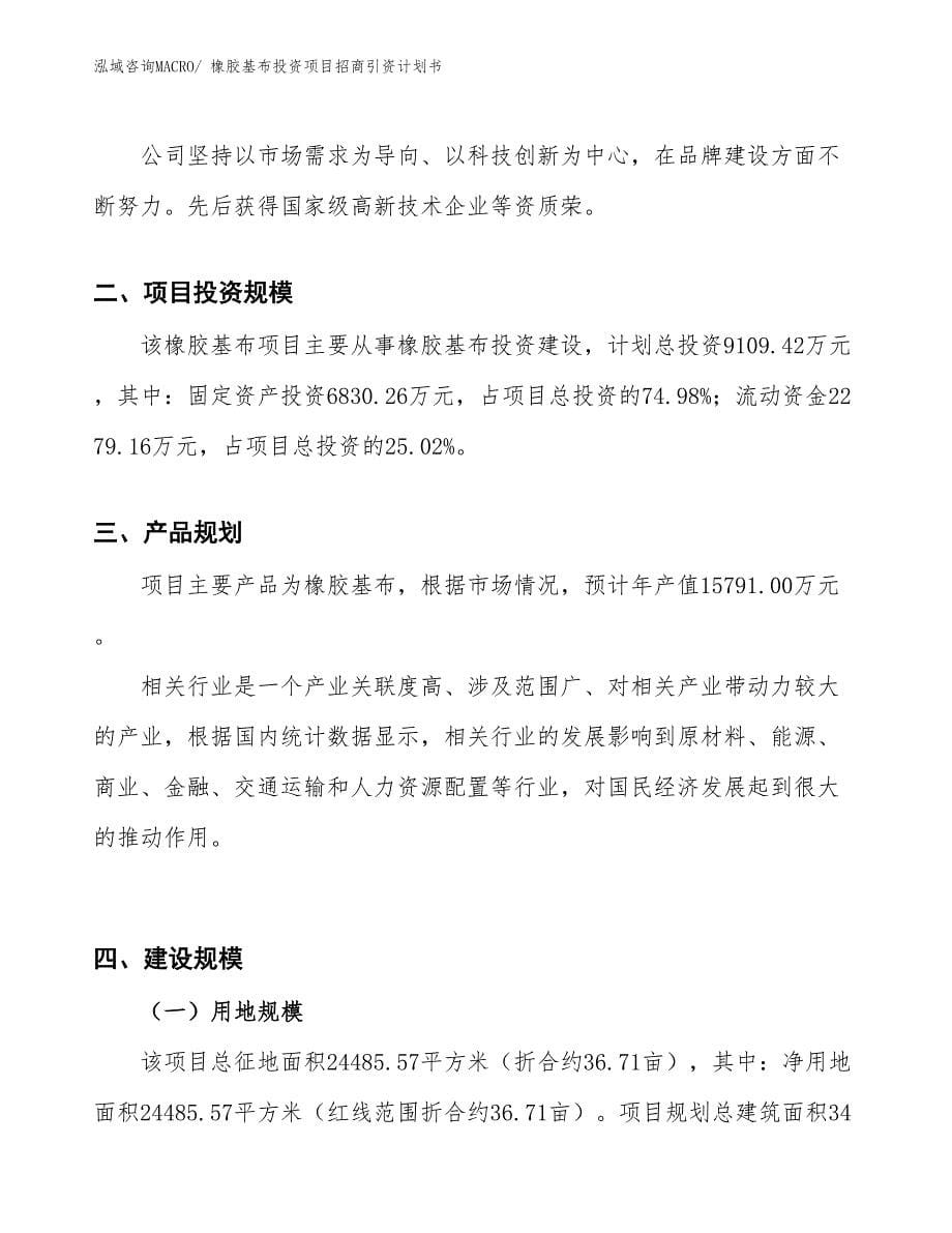 橡胶基布投资项目招商引资计划书_第5页