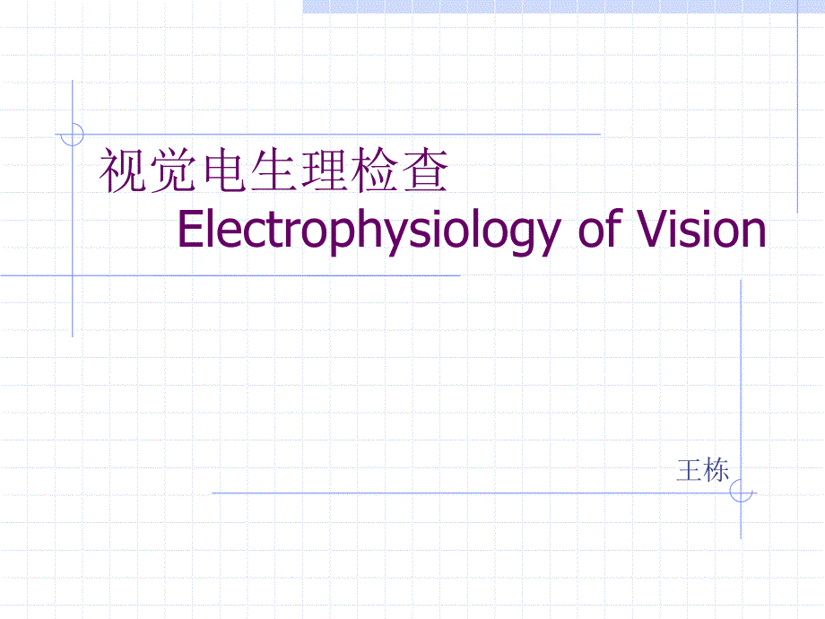 视觉电生理1课件_第1页