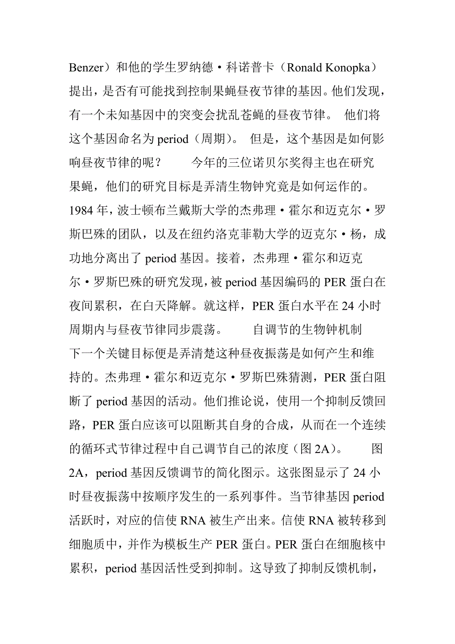 2017诺贝尔奖昼夜节律_第3页