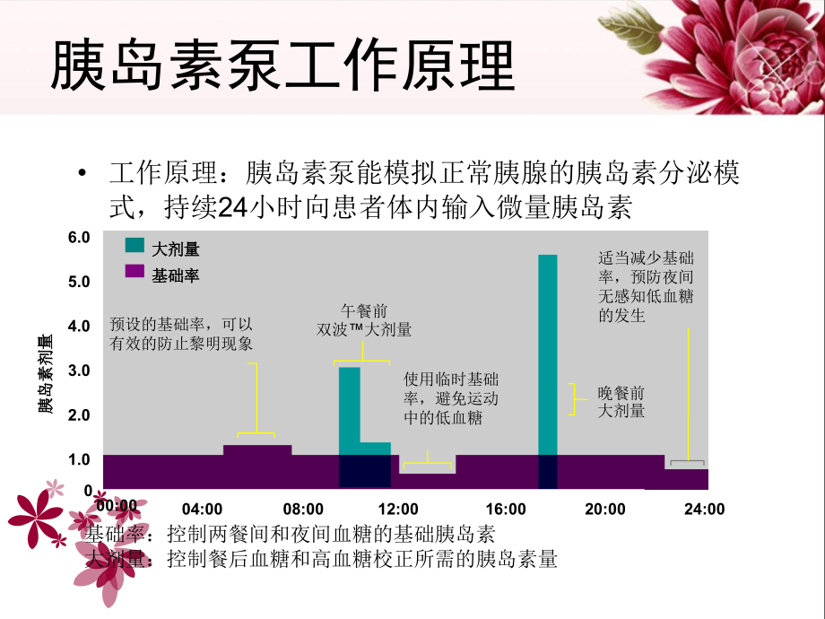 胰岛素泵的使用及维护课件_第4页