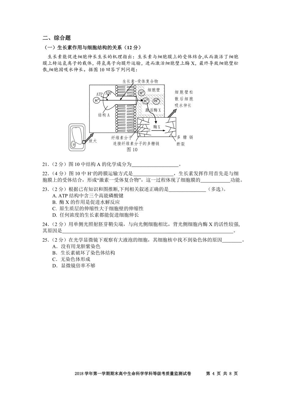 2019上海市生命科学等级考 宝山区一模卷.doc_第4页